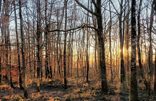 Chalet in Belgium With Stunning Views - Foto 20