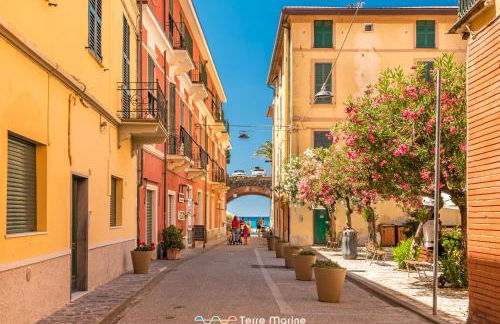 Tik Tok, TerreMarine - Foto 4