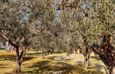 oasi macerina - Foto 46