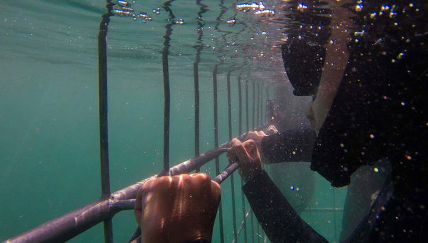 Vistas desde la celda