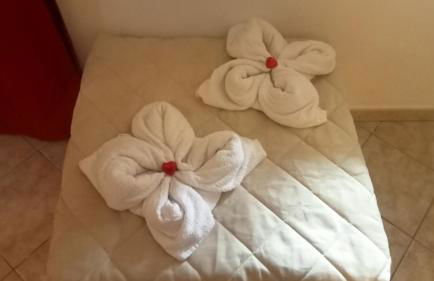 Sally's House - Photo 52