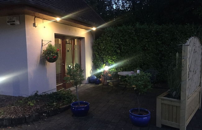 The Lodge - Photo 26