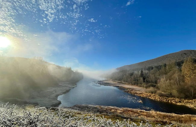Charmante Harzer Doppelhaushalfte - Foto 29