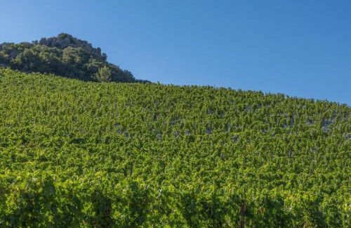 Ma Vie Là - Foto 24