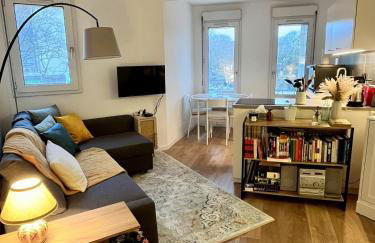 Appartement tout confort Toulouse - Photo 1