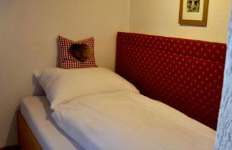 Berghof Almzeit - Fewo "Philosophenstüble", Sauna, Todtnauberg, Feldberg - Foto 8