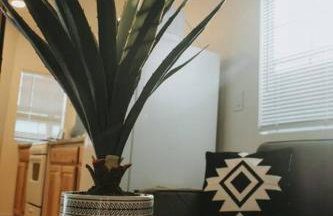 Agave Tiny House at Cactus Flower-Private Hot Tub-Pet Friendly-No Pet Fees! - Foto 34