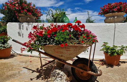 Residenza "I Tre Carrubi " - Foto 23