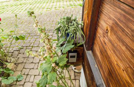 Haus Miriam - Foto 8