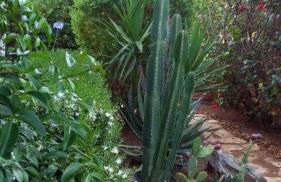 VILLA TREROSE by Trerose Properties - Villa centrale con wi-fi e posto auto privato gratuiti - Foto 9