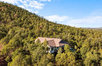 Breathtaking Cabin Backing the National Forest - Foto 67