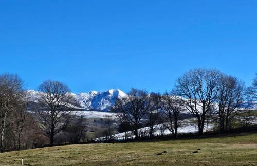 Les Marmottes de Murol - Foto 31