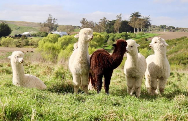 Teschemakers Resort - Foto 30