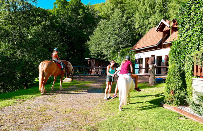 3 bedroom House in Stárkov with swimming pool and garden - Photo 22