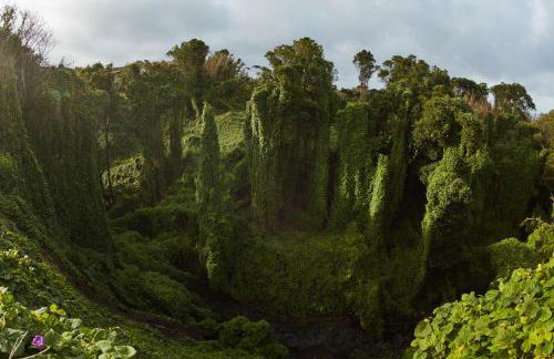 CASITA DA DOCTORA - Foto 42