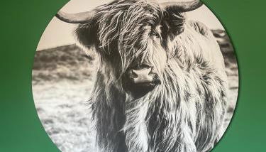 Casa Mia - Lido Adriano by Ferket Holiday Rentals - Photo 2