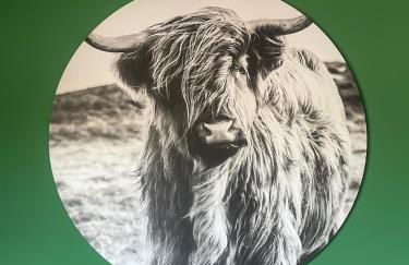 Casa Mia - Appartamenti Lido Adriano - Foto 27