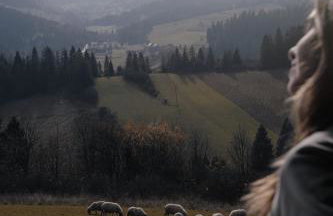 Los Road House - Foto 24