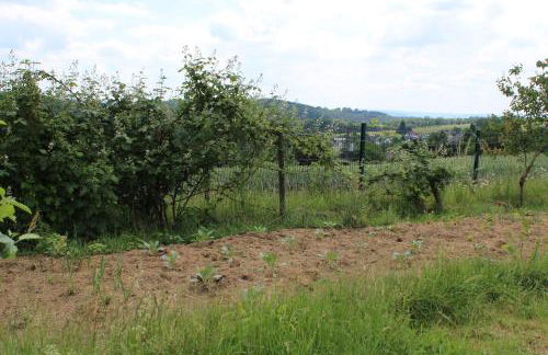 Landhaus Almyssen - Foto 39