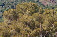 La casina di Adina - Foto 6