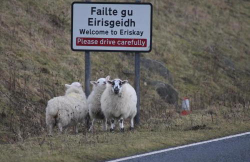 Pod Beag Beside the Sea, Isle of Eriskay - Foto 65