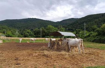 Agriturismo L'Essiccatoio - Foto 19