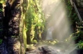 Studio Nr. 312 im Haus Alb - Foto 9