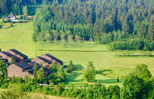 Schwarzwald-Ferienwohnung mit Panorama und Pool - Foto 3