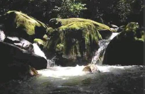 Casa de campo na praia - Foto 32