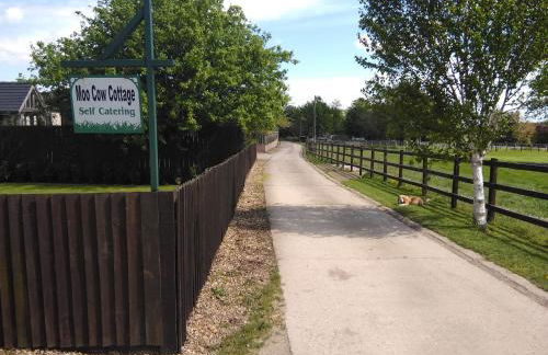 Moo Cow Cottage Self Catering - Photo 32