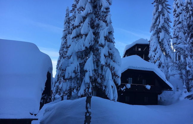 Alma Apartment in Sonnleitn Am Nassfeld at 1484m - Photo 26