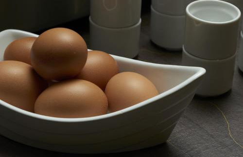 Résidence de Diane - Toulouse - Photo 28