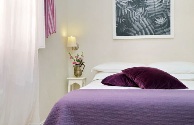 Amaranto Romano - Foto 21