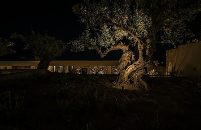 Nuez Villas - Photo 55