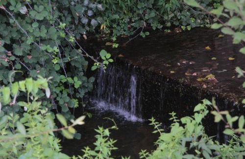 Vivenda Maria da Nazaré - Foto 51
