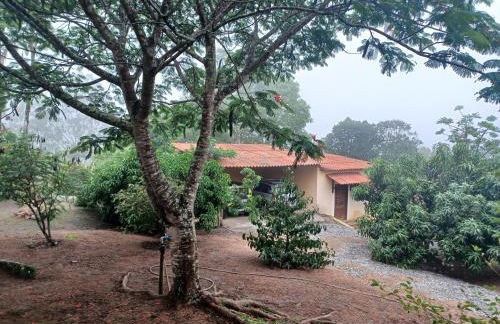 Sitio Esquina da Serra - Foto 43