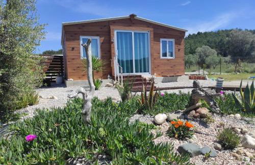 Mountain View Bungalows Dimilia - Foto 1