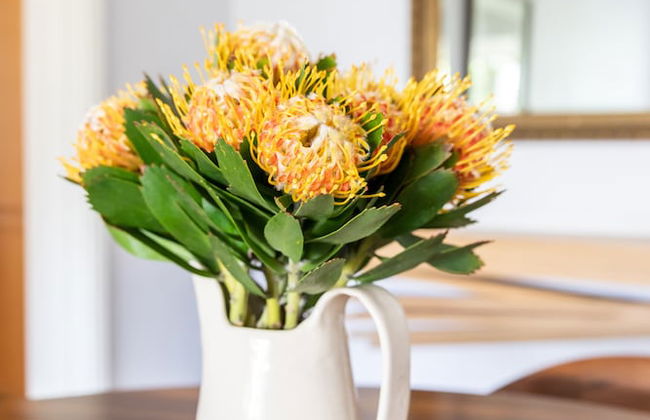 001 Altmore on the Waterfront Marina - Photo 41