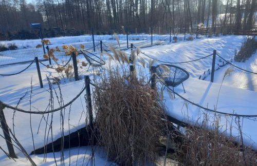 Owocowa Chojnata - Foto 40