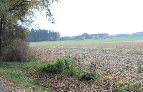 ZumSeehörnchen Haus Schmetterling - Foto 27