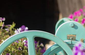 Ferienwohnung Vogelschar Urlaub auf dem Lebenshof - Foto 10