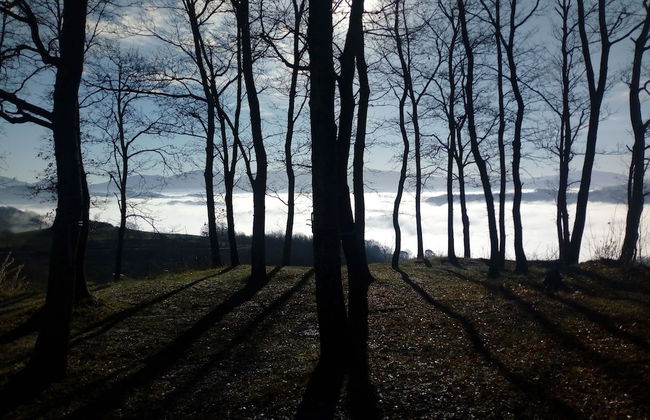 Agriturismo Il Beccafico Alpaca - Foto 27