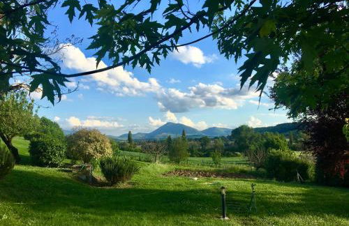 Agricola Caicucci - Foto 22