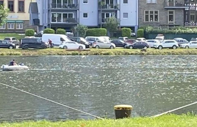 Holiday Apartment "mosel & Umzu" - Photo 22