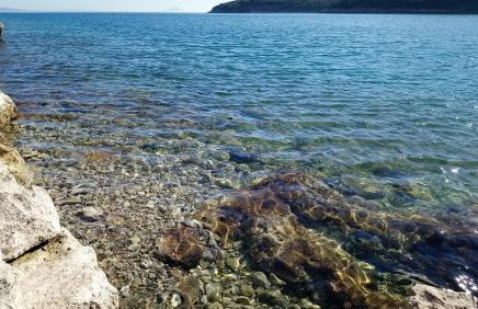 Casa Bozzero - Photo 75