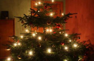 Forsthof Niendorf - Foto 76