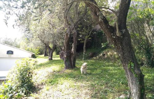 Beautiful private villa with open views - Foto 46