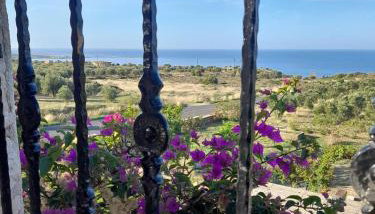 "Villa Othon-Leni" - Panoramic Sea View & Traditional Luxury - Foto 3