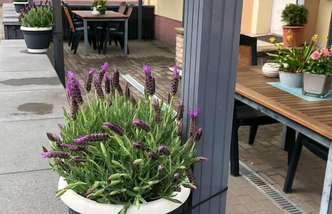 Motel de Winter - Foto 32