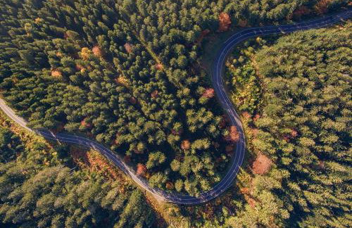 SK Ferienapartments Kappelrodeck - Foto 26